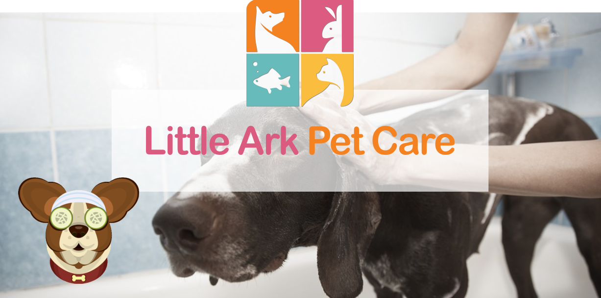 Welcome to Little Ark Pet Care